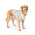 Top Paw® Step In Dog Jacket, Multiple Colors & Sizes, Teal/Pink/Grey/Brown/Blue, XS-XL image thumbnail 1