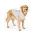 Top Paw® Step In Dog Jacket, Multiple Colors & Sizes, Teal/Pink/Grey/Brown/Blue, XS-XL image thumbnail 1
