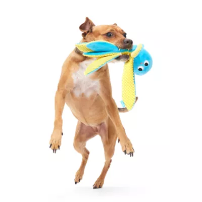 BARK Odd Otto Dog Toys - Image 4