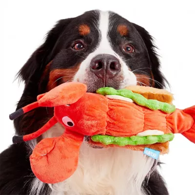 BARK Max's Maine Lobster Roll Dog Toys - Image 3