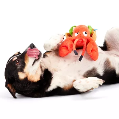 BARK Max's Maine Lobster Roll Dog Toys - Image 4