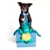 BARK Dingbert The Dragon Dog Toys image thumbnail 3