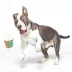 BARK Cup Of Bark Roast Dog Toys image thumbnail 3