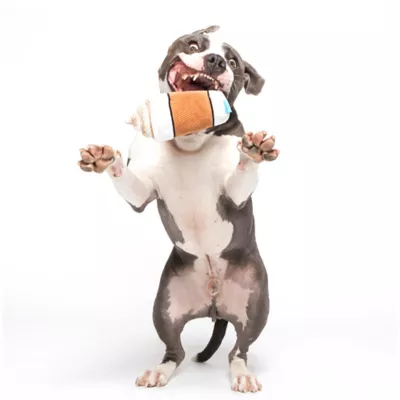 BARK Cup Of Bark Roast Dog Toys - Image 4