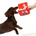 BARK Animal Squeaker Snacks Dog Toys image thumbnail 2