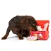 BARK Animal Squeaker Snacks Dog Toys image thumbnail 3