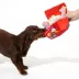 BARK Animal Squeaker Snacks Dog Toys image thumbnail 4