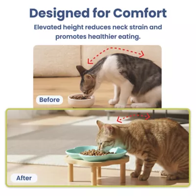 PawsPik Cat Flower Ceramic Feeding Plate with Raised Bamboo Stand - Image 7