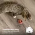 Catstages Catnip Plaque Away Pretzel Cat Chew Toy image thumbnail 6