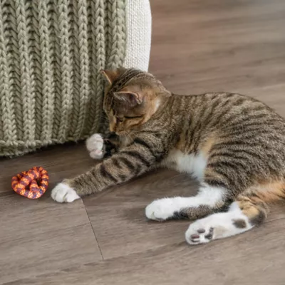 Catstages Catnip Plaque Away Pretzel Cat Chew Toy - Image 8