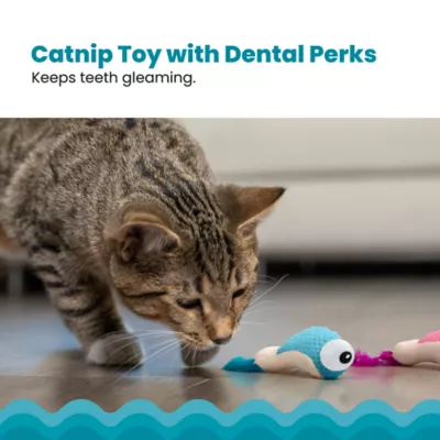 Catstages Dental Shrimpies Cat Toys 2-Pack - Image 2