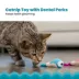 Catstages Dental Shrimpies Cat Toys 2-Pack image thumbnail 2