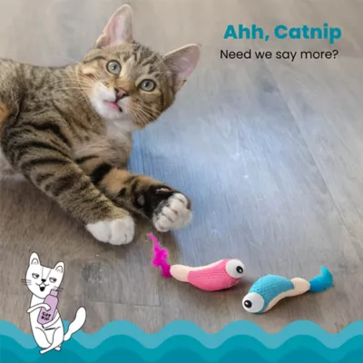 Catstages Dental Shrimpies Cat Toys 2-Pack - Image 3