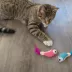 Catstages Dental Shrimpies Cat Toys 2-Pack image thumbnail 8