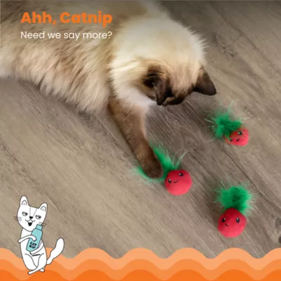 Catstages Straw Babies Dental Catnip Cat Toys 3-Pack - Image 3