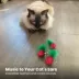 Catstages Straw Babies Dental Catnip Cat Toys 3-Pack image thumbnail 6