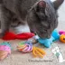 Catstages Kitty Sweet Treats Catnip Cat Toy 6-Pack image thumbnail 6
