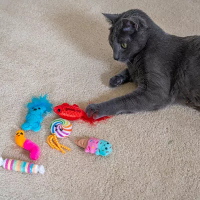 Catstages Kitty Sweet Treats Catnip Cat Toy 6-Pack - Image 8