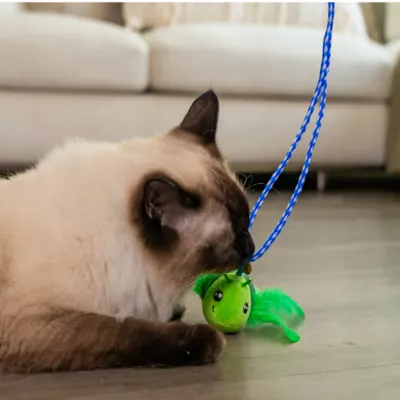 Catstages Tail Teaser Ground Prey Play Wand Cat Toys 2-Pack - Image 8