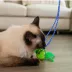Catstages Tail Teaser Ground Prey Play Wand Cat Toys 2-Pack image thumbnail 8
