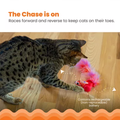 Catstages Racin' Squirrel Electronic Cat Toy - Image 2