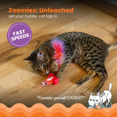 Catstages Racin' Squirrel Electronic Cat Toy - Image 3