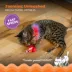 Catstages Racin' Squirrel Electronic Cat Toy image thumbnail 3