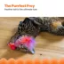 Catstages Racin' Squirrel Electronic Cat Toy image thumbnail 4
