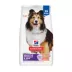 Hill's Science Diet Sensitive Stomach & Skin Adult Dry Dog Food - Salmon & Brown Rice image thumbnail 1