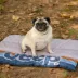 Jeep Portable Dog Travel Mat W/ Vintage Jeep Logo & Buckles, Machine Washable & Durable Fabric image thumbnail 4