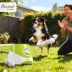 PawHut Automatic Dog Ball Launcher image thumbnail 2