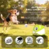 PawHut Automatic Dog Ball Launcher image thumbnail 4
