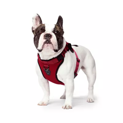 Canada Pooch Everything Harness - Image 2