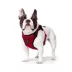 Canada Pooch Everything Harness image thumbnail 2