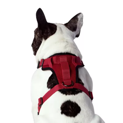 Canada Pooch Everything Harness - Image 3