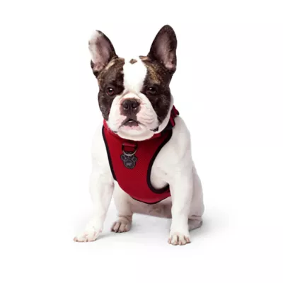 Canada Pooch Everything Harness - Image 4
