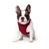 Canada Pooch Everything Harness image thumbnail 4