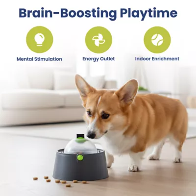 PawsPik Dog 3-In-1 Multi-Purpose Treat, Feed & Lick Station Feeder - Image 3