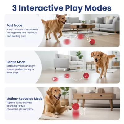PawsPik Dog Smart Bounce Interactive Ball Toy - Image 3