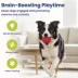 PawsPik Dog Smart Bounce Interactive Ball Toy image thumbnail 6