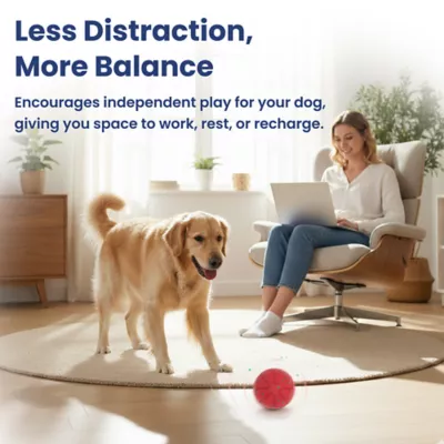 PawsPik Dog Smart Bounce Interactive Ball Toy - Image 7