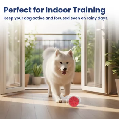 PawsPik Dog Smart Bounce Interactive Ball Toy - Image 8