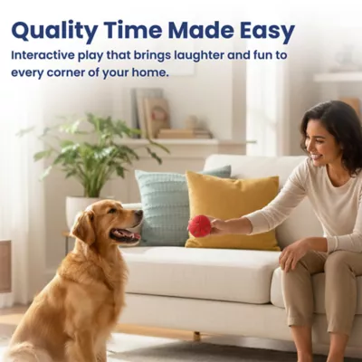 PawsPik Dog Smart Bounce Interactive Ball Toy - Image 9