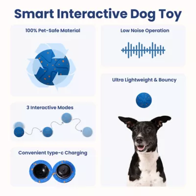 PawsPik Dog Smart Bounce Interactive Ball Toy - Image 2