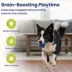 PawsPik Dog Smart Bounce Interactive Ball Toy image thumbnail 6