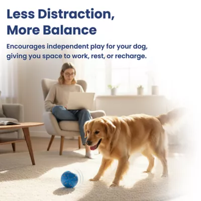 PawsPik Dog Smart Bounce Interactive Ball Toy - Image 7
