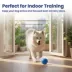 PawsPik Dog Smart Bounce Interactive Ball Toy image thumbnail 8