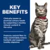 Hill's Science Diet Urinary Hairball Control Adult Wet Cat food - Variety Pack, 24 CT, 86.03 OZ image thumbnail 4