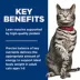 Hill's Science Diet Healthy Cuisine Adult Cat Food - Variety Pack, 24 CT, 83.63 OZ image thumbnail 4