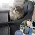 Guzzie+Guss Pet Portable Table Chair, Hook-On Highchair, Compact & Fits Most Tables - Charcoal image thumbnail 2
